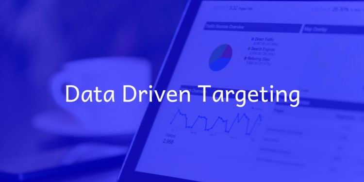 bluehubs-digital-marketing-data-driven-targeting